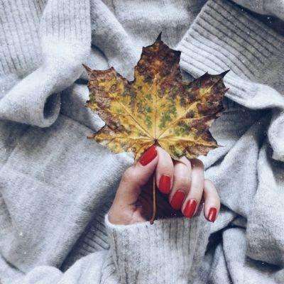 365在线手机app下载